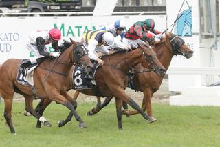 Vin De Dance (NZ) claims the Listed Marks Ewen & Associates Kaimai Stakes at Matamata. Photo Credit: Trish Dunell 